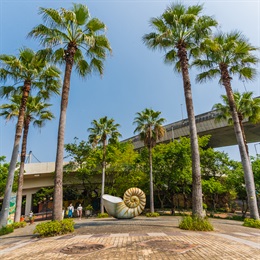 Sculpture of a nautilus shell in Golden Mean Plaza, the main entrance of Ma Wan Park. In addition to its iconic and unique appearance, it also represents the harmony between nature and human creation by reflecting the Golden Ratio (Golden Mean) in its design.